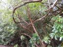 20160518_106.JPG