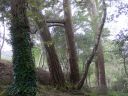 20160518_114.JPG