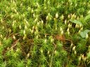 20160518_116.JPG