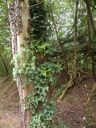 20160518_119.JPG