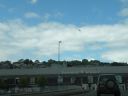 20160518_153.JPG