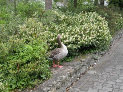 20160519_011.JPG