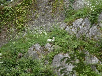 20160519_021.JPG