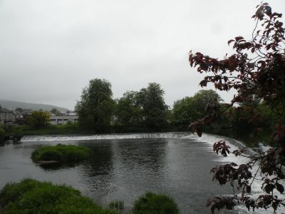 20160519_027.JPG