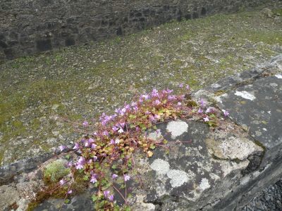 20160519_028.JPG