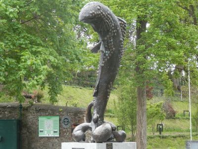 20160519_084.JPG