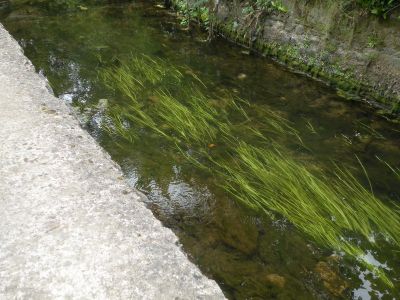 20160519_092.JPG