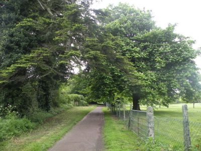 20160519_099.JPG