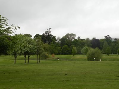 20160519_101.JPG