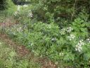 20160519_104.JPG