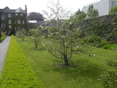 20160519_240.JPG