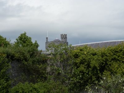 20160519_249.JPG