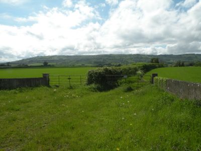 20160519_272.JPG
