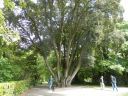 20160519_225.JPG