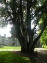 20160519_226.JPG