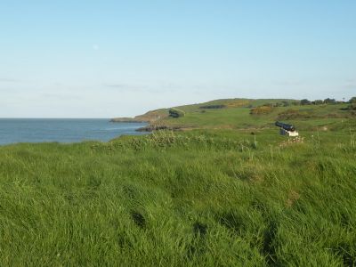 20160519_326.JPG