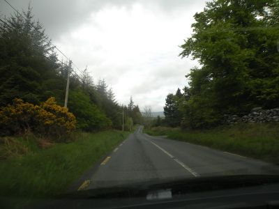 20160520_008.JPG