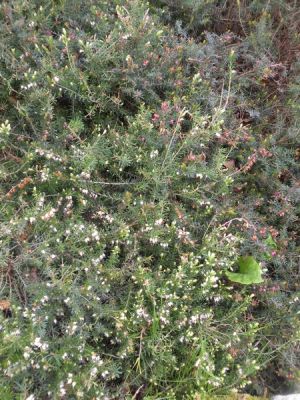 20160520_015.JPG
