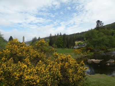 20160520_028.JPG