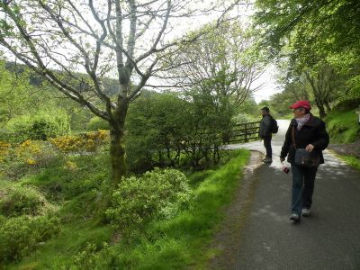 20160520_029.JPG