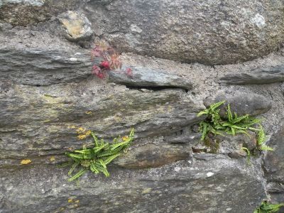 20160520_045.JPG