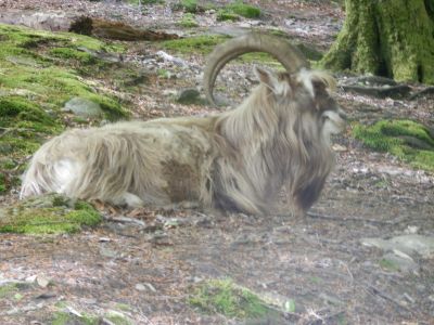 20160520_056.JPG