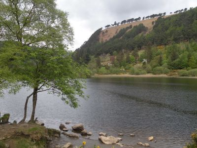 20160520_061.JPG
