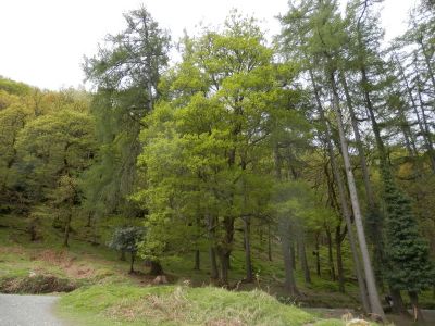 20160520_062.JPG