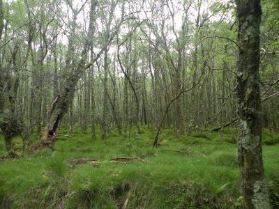 20160520_071.JPG