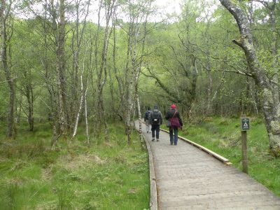 20160520_073.JPG