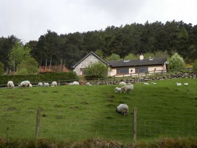 20160520_077.JPG