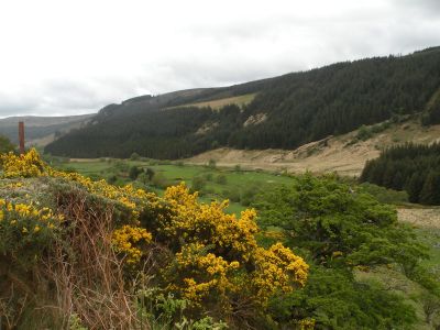 20160520_094.JPG