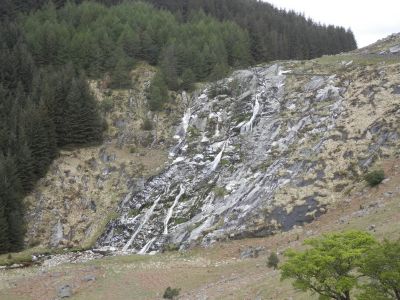 20160520_097.JPG