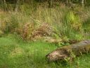 20160520_065.JPG