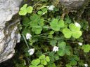20160520_067.JPG