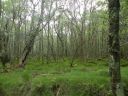 20160520_071.JPG