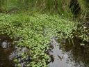 20160520_076.JPG