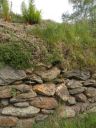 20160520_081.JPG