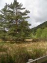 20160520_085.JPG
