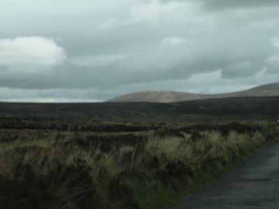 20160520_111.JPG