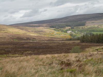 20160520_120.JPG
