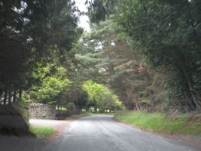 20160520_145.JPG