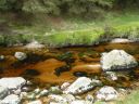 20160520_101.JPG