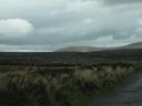 20160520_111.JPG