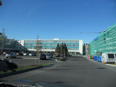 01_reykjavik_056.JPG