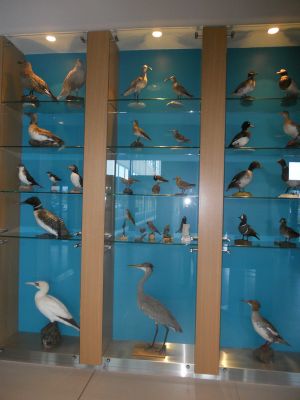 01_reykjavik_100.JPG