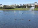 01_reykjavik_067.JPG