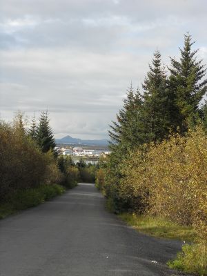 02_reykjavik_042.JPG