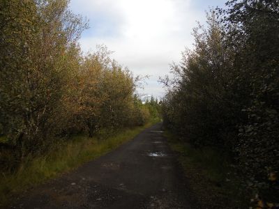 02_reykjavik_044.JPG