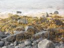 02_reykjavik_006.JPG